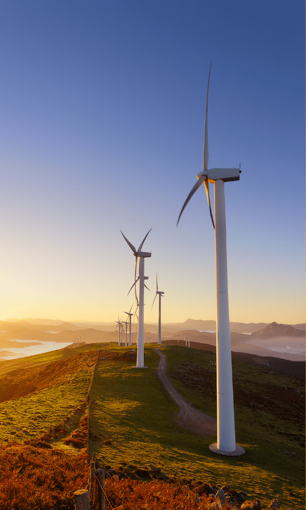 Environmental Sustainability