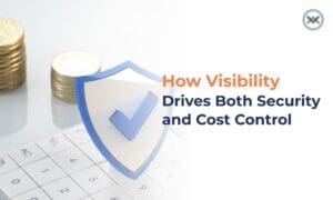 How Visibility Drives Both Security and Cost Control