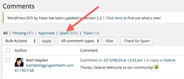 contoh spam komentar website