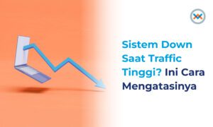 Sistem down